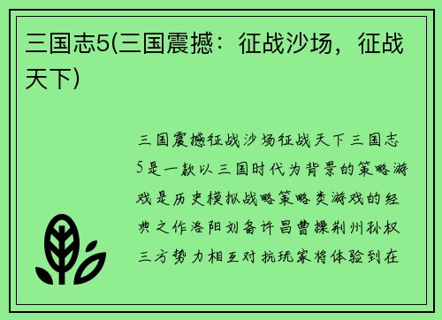 三国志5(三国震撼：征战沙场，征战天下)